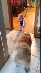Ally & Day, Dog teaching baby to jump