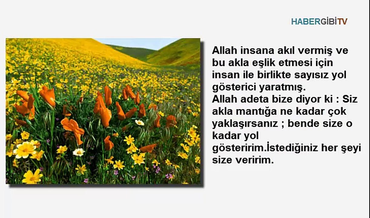 İNSAN DONDURMA