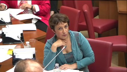 Attard Bloche Féron: Key Insights on Transposition Directives