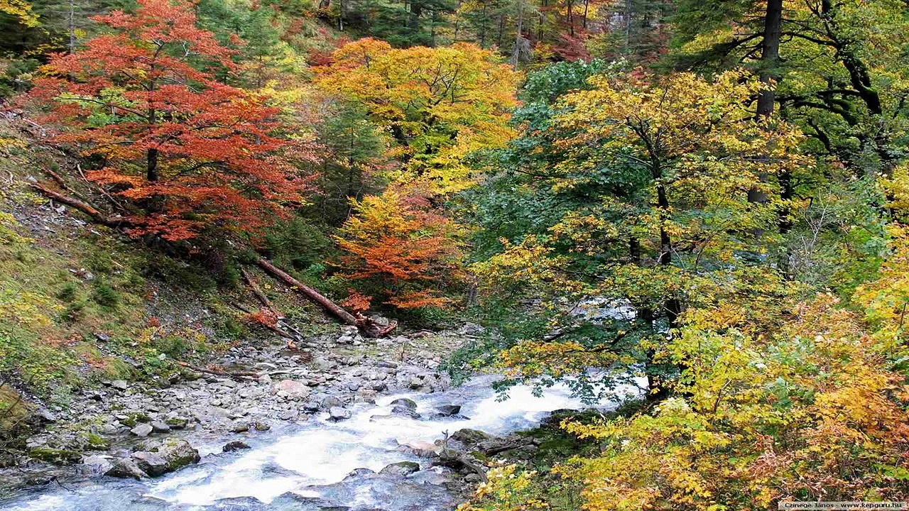 Automne Paysages (PP)