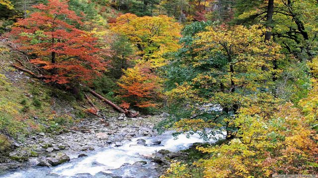 Automne Paysages (PP)