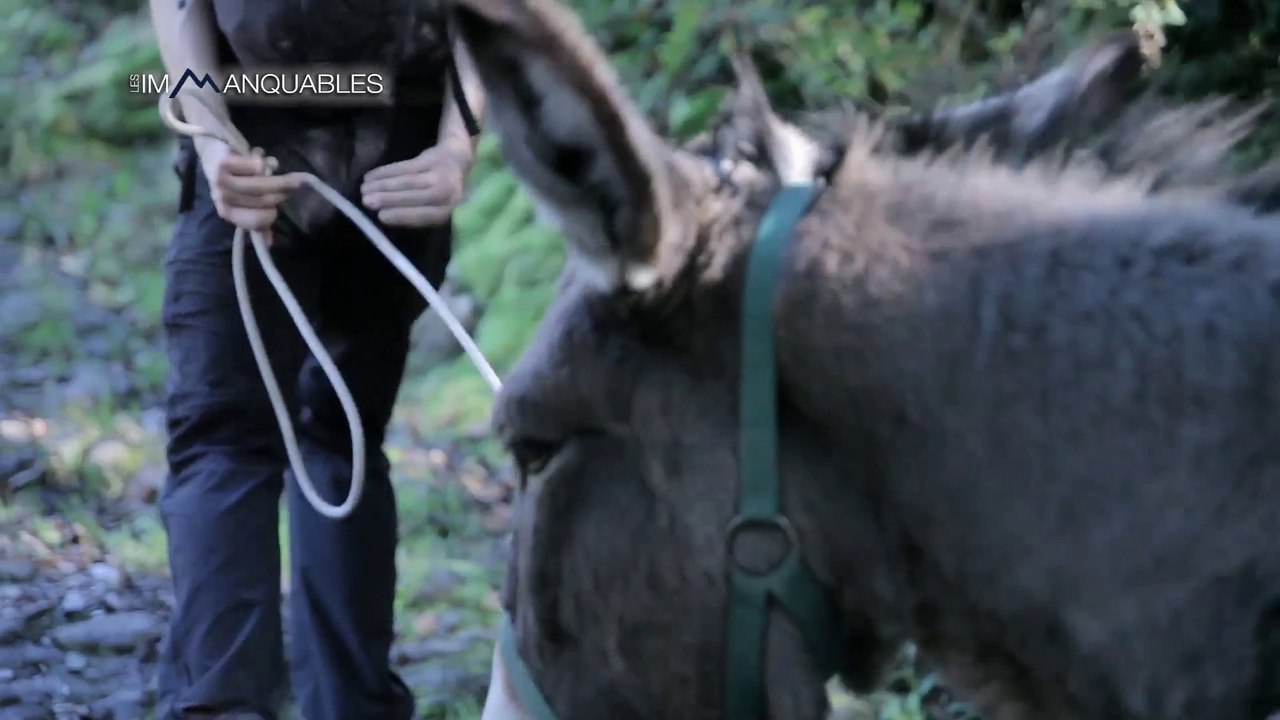 Le Grand Bivouac - Les Immanquables - 2014