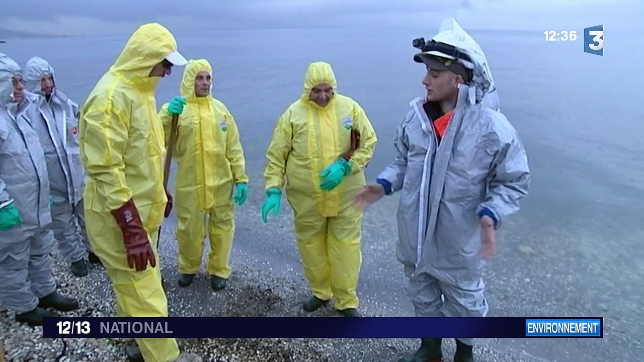 L'étang de Berre victime d'une pollution aux hydrocarbures