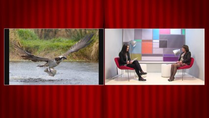 BOTA NE FOTO, VIDEO DHE NUMRA (12.11.2014)