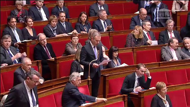 Questions au gouvernement : Révélations sur la mort de Rémi Fraisse