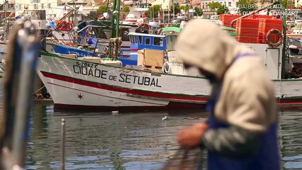 DEMO GRAFISMO SIC (dentro dos programas) HD 16:9