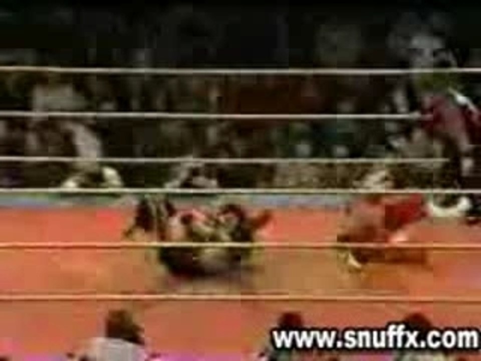 Le boulet de la boxe