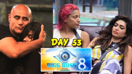 Bigg Boss 8 | November 13 2014 | Diandra As Captain | Puneet Released | Episode Update