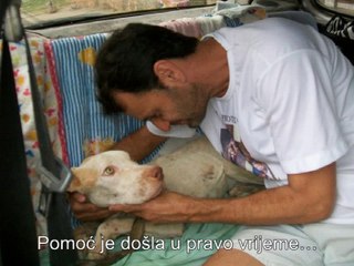 Dog's amazing recovery will touch your heart