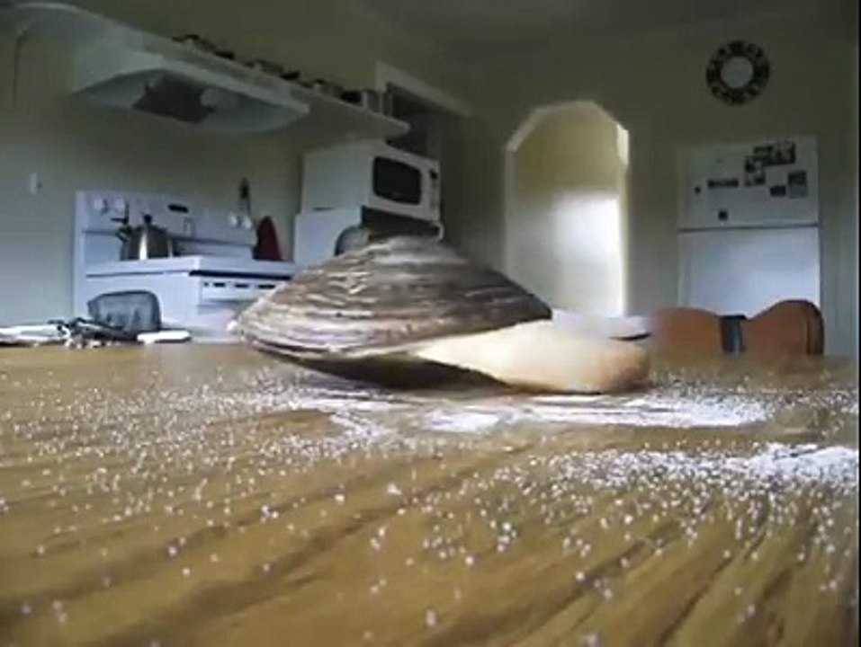 Midye'nin etrafına tuz dökerseniz ne olur?