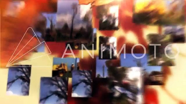 ▶ Burley Tree Service (985) 759-7242