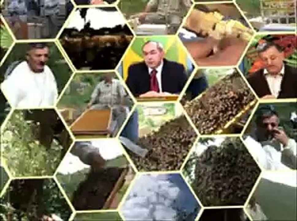 Arıcının günlüğü 4. bölüm