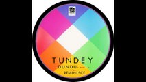 TUNDEY - DUNDU (Remix) ft. REMINISCE