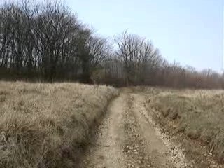 Sentier des murmures : Balade au Vallon2