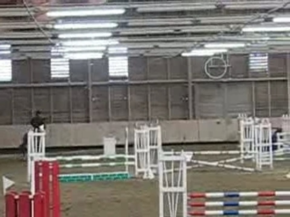 Lewin Hulys Waldhof 18.02.07