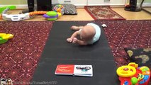 #PitBull DOG TEACHES BABY TO CRAWL | TexasGirly1979
