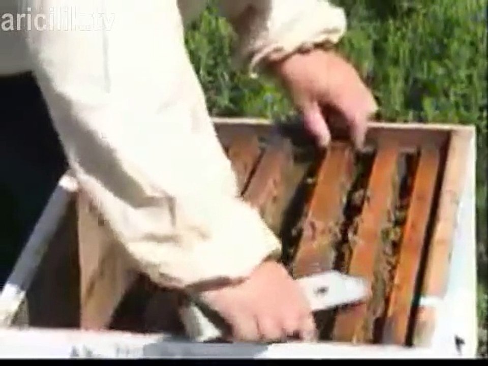 Arıcılık Eğitim Videosu 1.bölüm 1.kısım