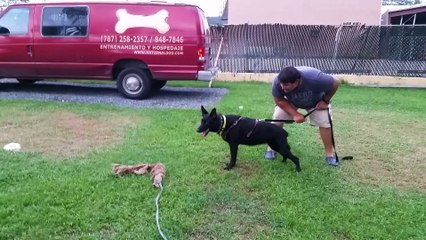 Freyja 20141103_174200