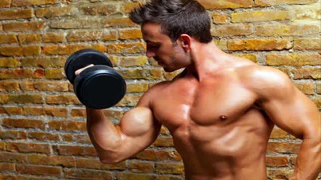 Adonis Golden Ratio Pdf WOW Adonis Golden Ratio