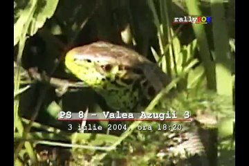 Raliul Romaniei 2004