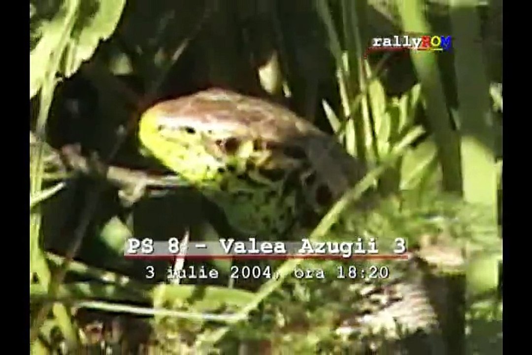 Raliul Romaniei 2004