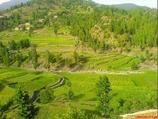 pashto very nice songits cool