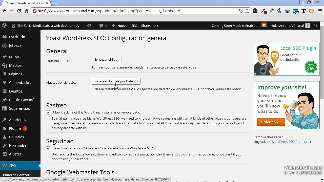 Curso SEO Wordpress Español Video 7
