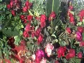 naat by manzor ahmad qadri