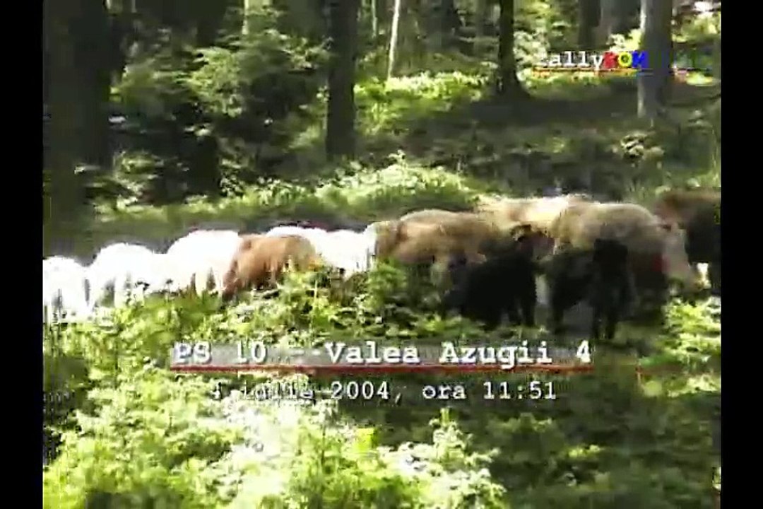 Raliul Romaniei 2004