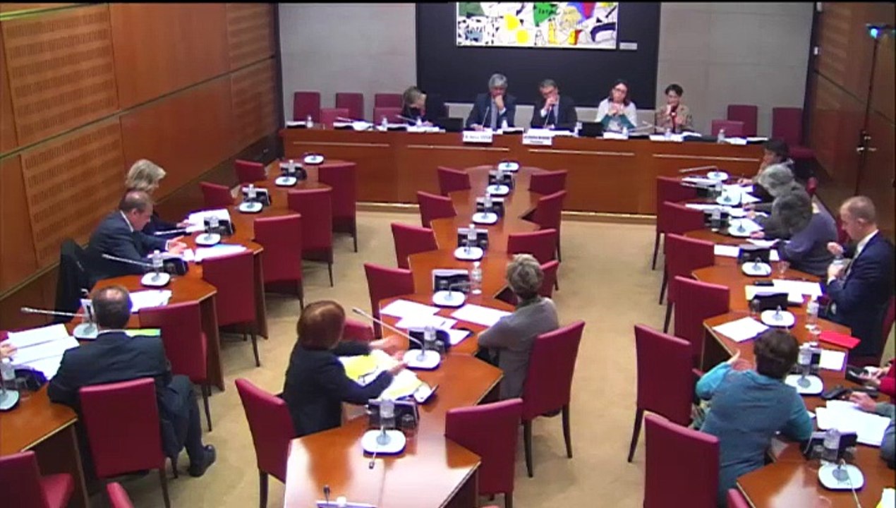 Examen du projet de loi sur les domaines de la propriété littéraire et artistique et du patrimoine culturel - Mercredi 12 Novembre 2014