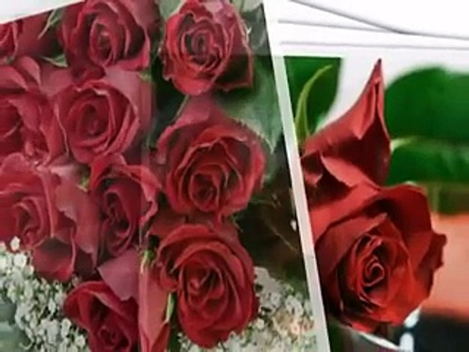 Vasilija Radojcic - Kad bi ove ruze male