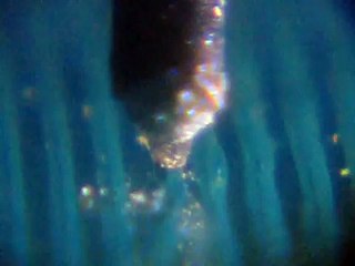 Lecture d'un vinyle au microscope