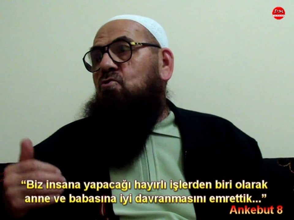 Ankebut 8