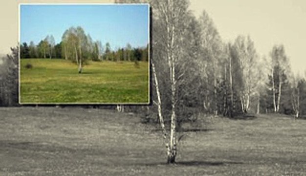 Vasilija Radojcic - Stojan stado cuvase