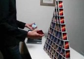 Card Tower Toppled by Cheeky Friend