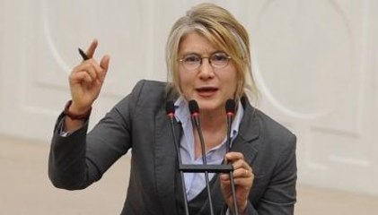 Emine Ülker Tarhan, Yeni Parti İçin Kolları Sıvadı
