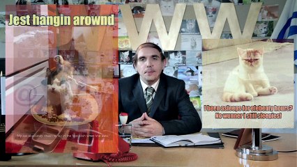 Lolcats sur YouTube : l'allocution solennelle du Président de l'Internet !