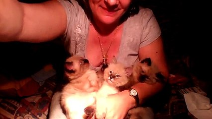 i miei gattini da piccoli 20140623