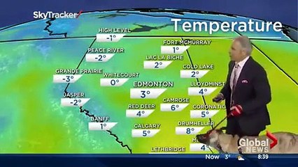 Ripple the dog doesn& care about Mike Sobel and the weather forecast
