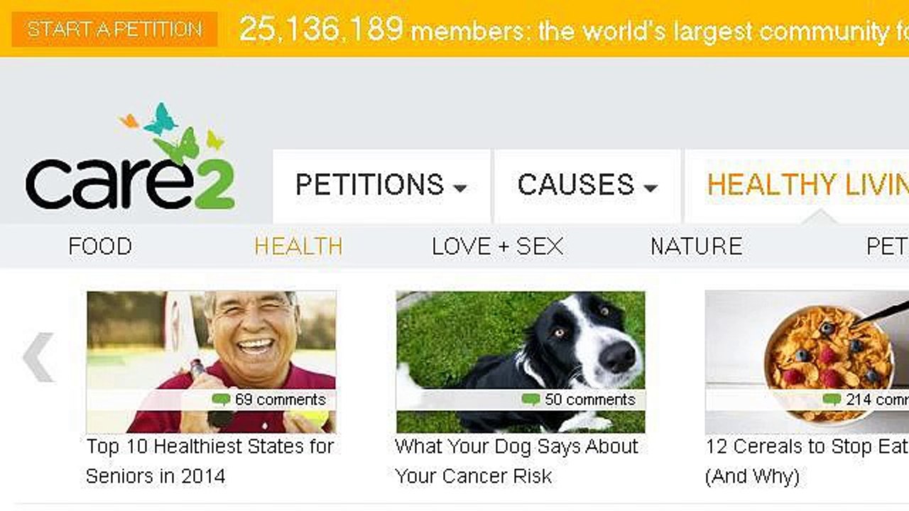 Healthy Prostate Diet