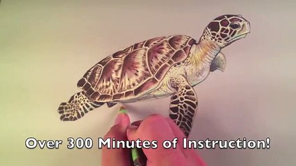 The Secrets to Drawing