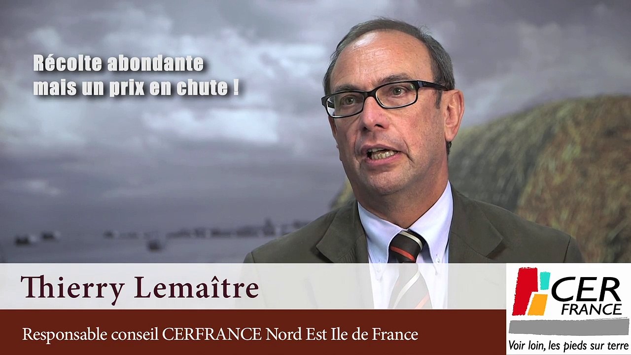 Comment expliquer l'effondrement du cours du sucre ? par Thierry Lemaîttre