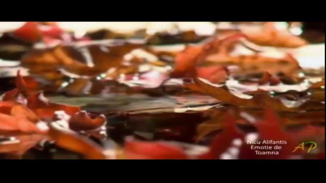 Emisiunea Radio Arthis din 12.11.2014