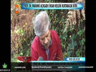 Descargar video: 12.11.2014 Part 1 Zahideyle Yetiş Hayat Programında Ahmet MARANKİ Salatalığı,Sarımsağı,Sağlıklı kahvaltıyı ve Alkali suyu Anlatıyor