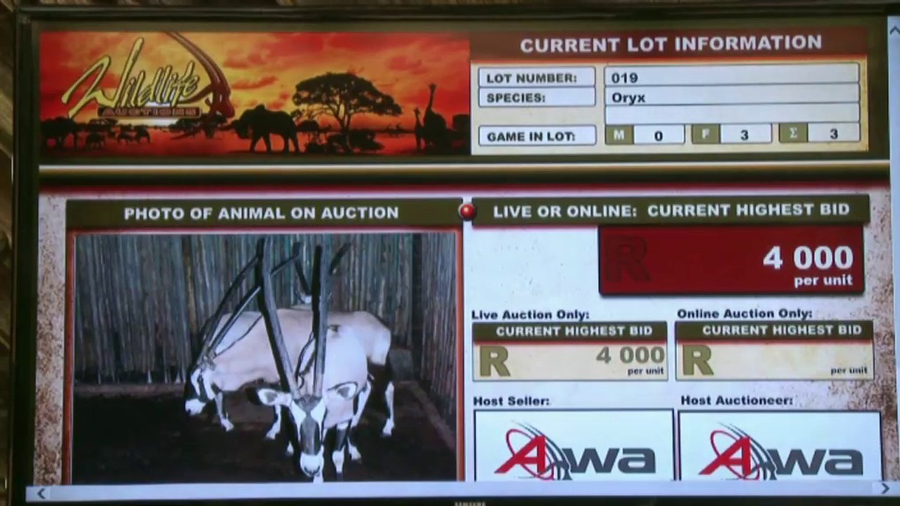 nouveaux explorateurs extrait 2