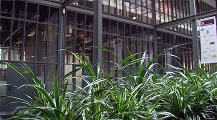 Lille, ville French Tech