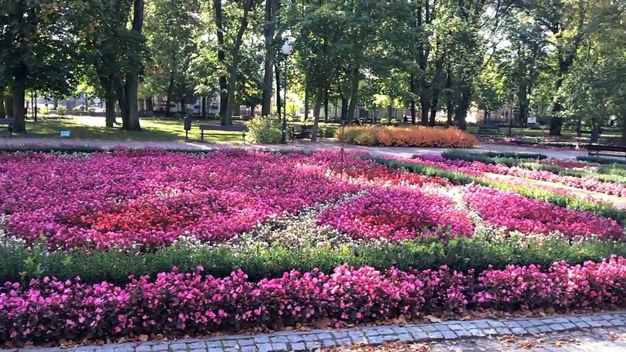 Mława - unsere Heimatstadt