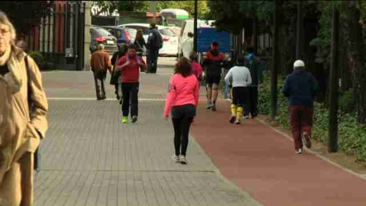 Sweeteners, an option in the fight against obesity and diabetes