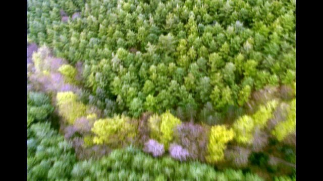 2015 Hyundai Genesis Coupe in Orlando at Universal Hyundai