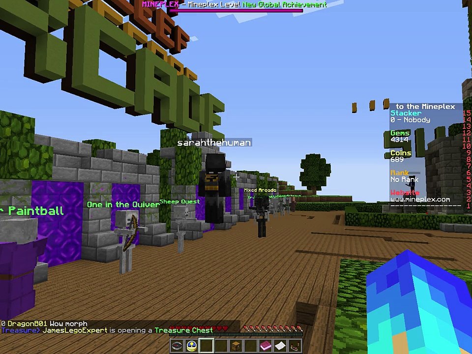 Mineplex fly hacker